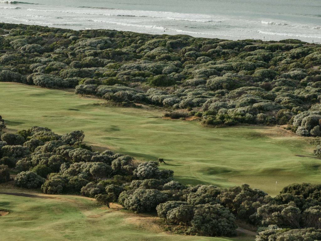 Contours_13th Beach_Oct23-89